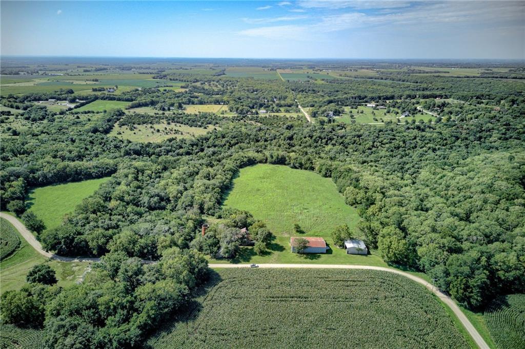 Listing Photo MLS #HMS2564804