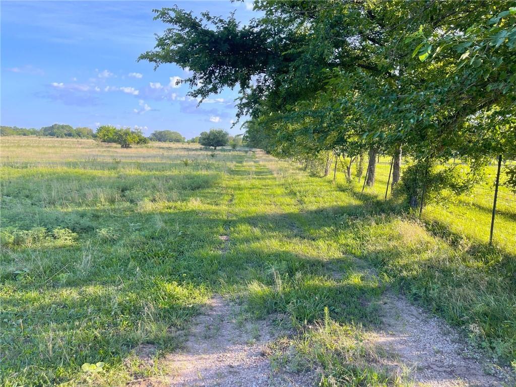 Listing Photo MLS #HMS2565813