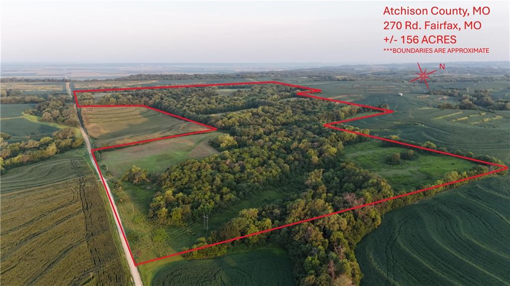 Listing Photo MLS #HMS2566428