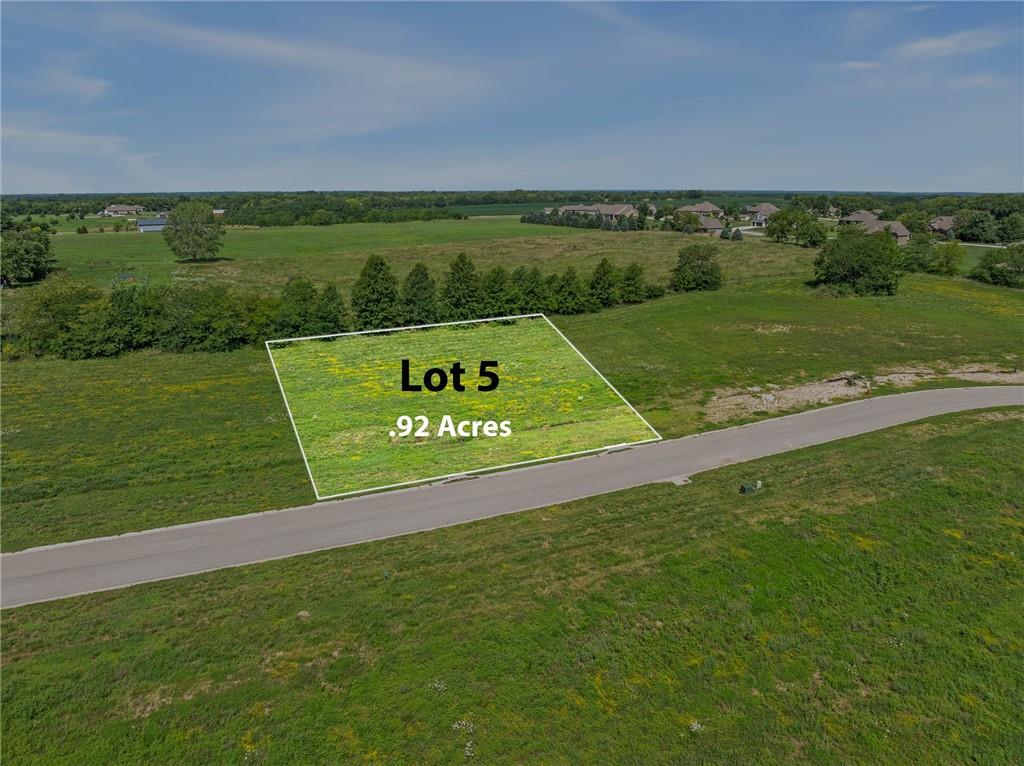 Listing Photo MLS #HMS2566948