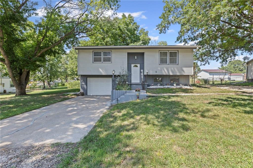 Listing Photo MLS #HMS2567211