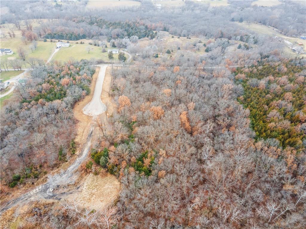 Listing Photo MLS #HMS2567592