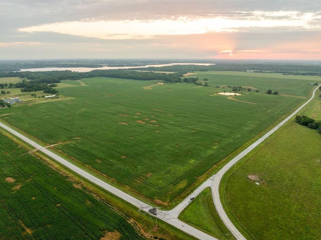 Listing Photo MLS #HMS2567960