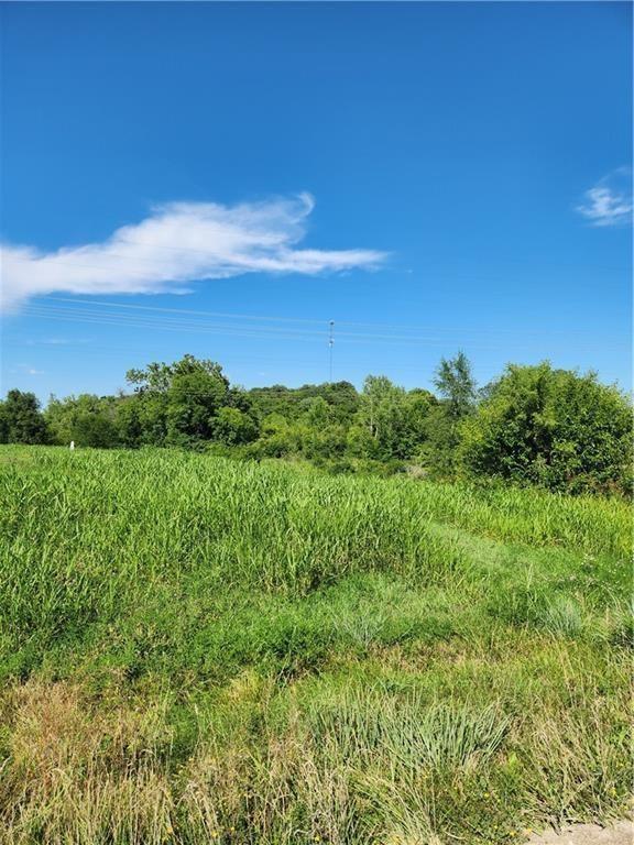 Listing Photo MLS #HMS2567977