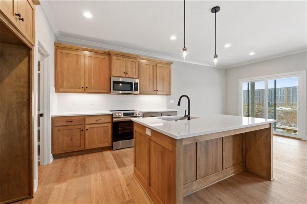 Listing Photo MLS #HMS2567992
