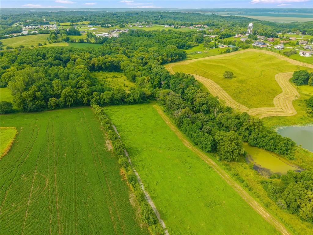 Listing Photo MLS #HMS2568037