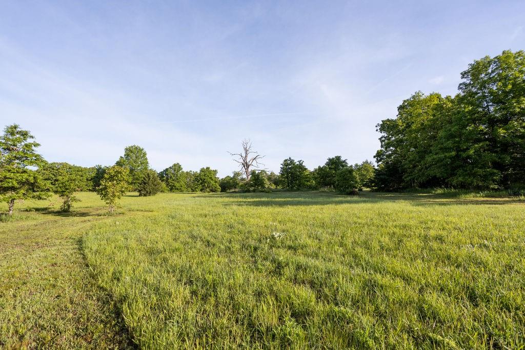 Listing Photo MLS #HMS2568101