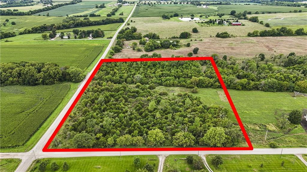 Listing Photo MLS #HMS2568117