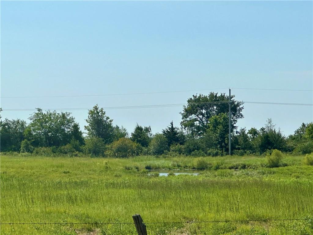 Listing Photo MLS #HMS2568133