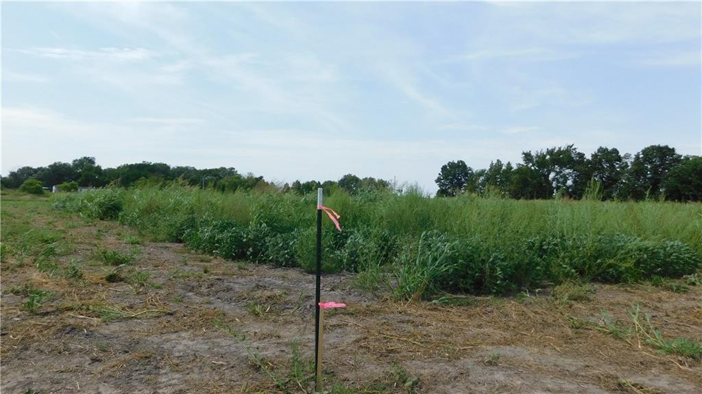 Listing Photo MLS #HMS2568234