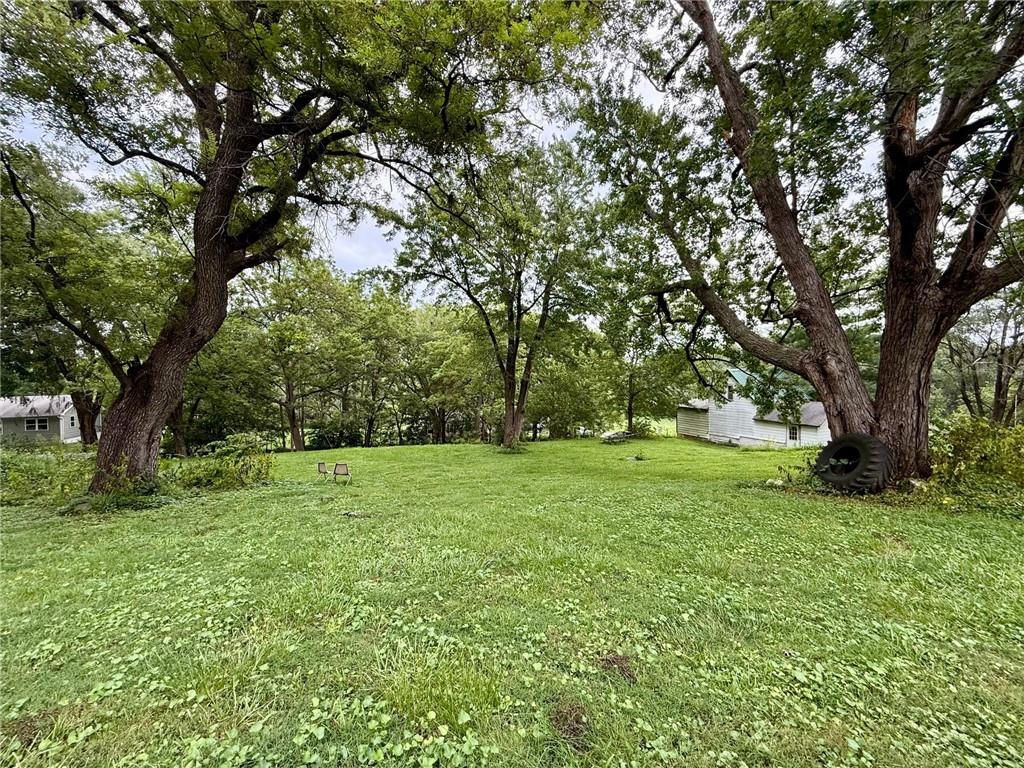 Listing Photo MLS #HMS2568280