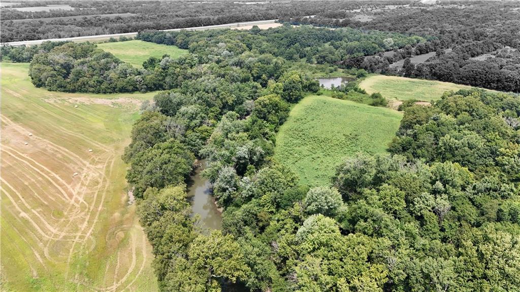 Listing Photo MLS #HMS2568472