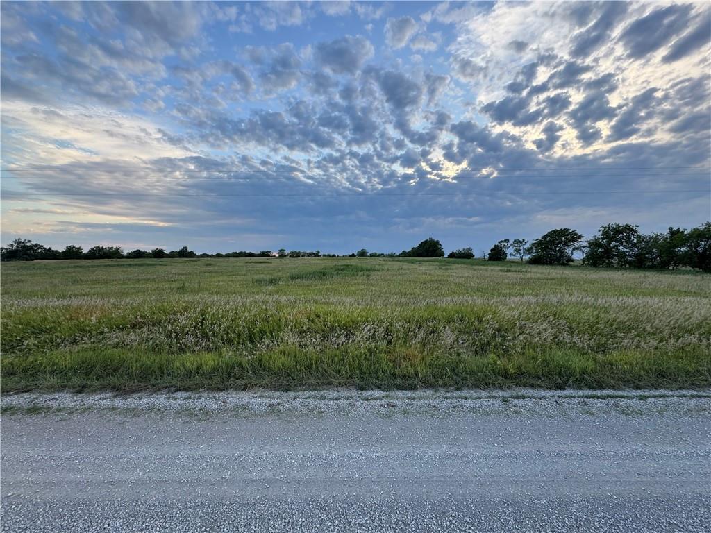 Listing Photo MLS #HMS2568486
