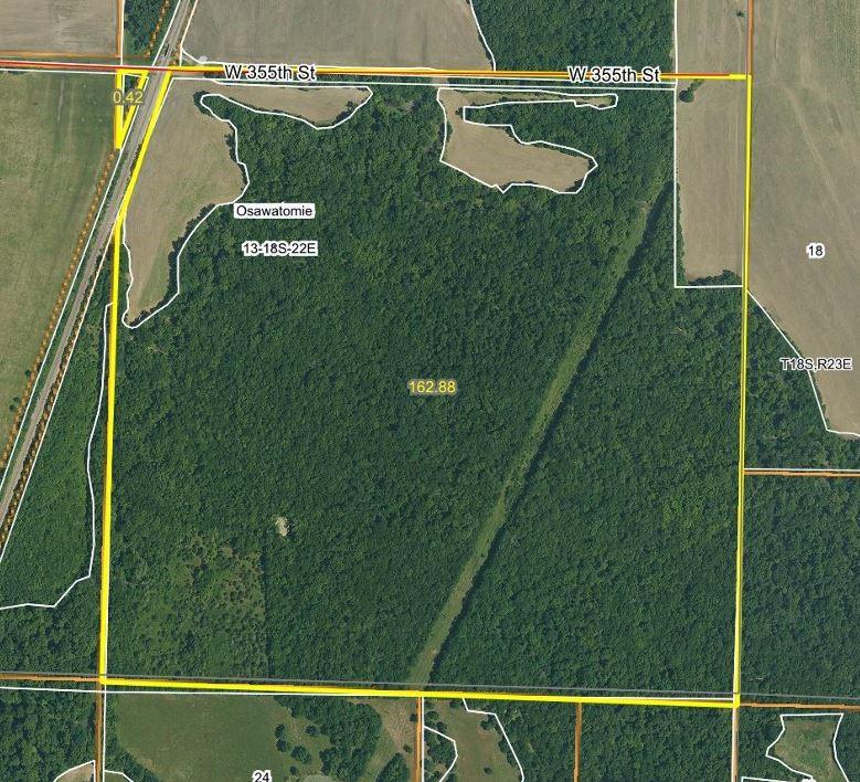 Listing Photo MLS #HMS2568496