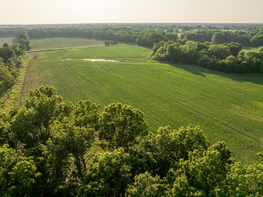 Listing Photo MLS #HMS2568590