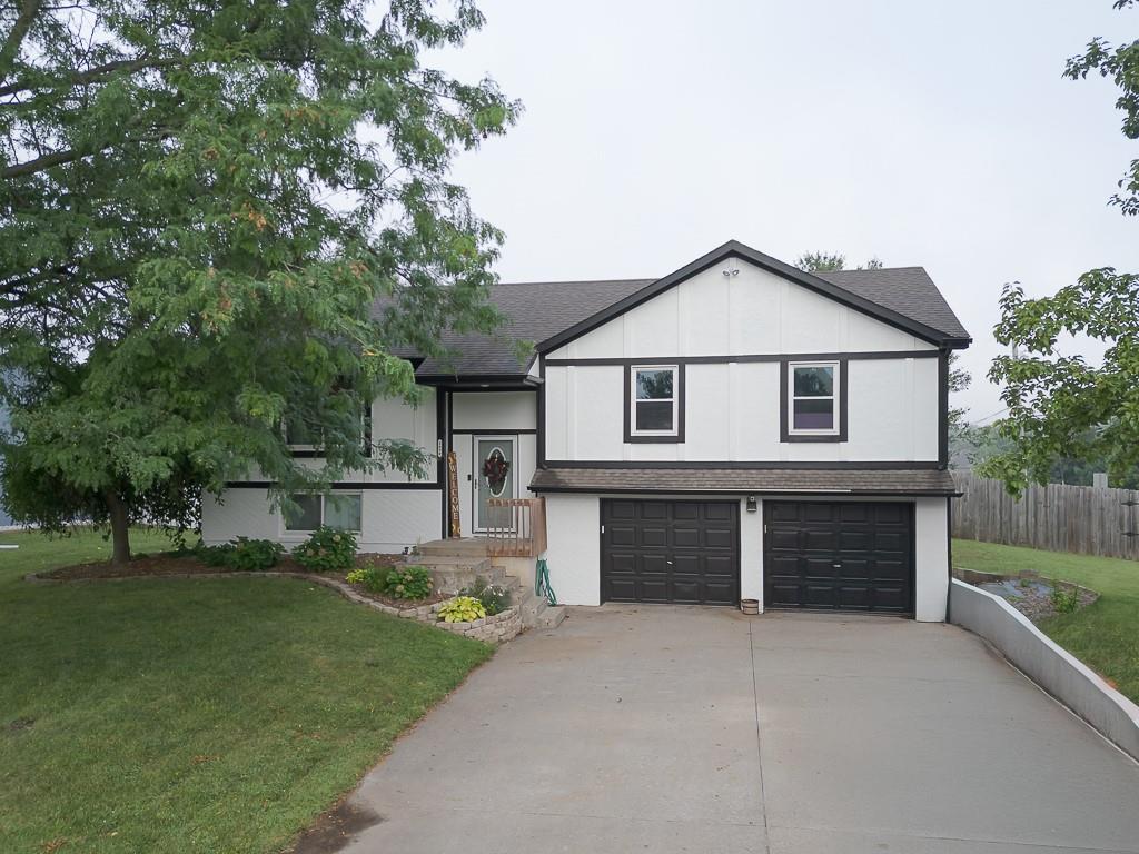 Listing Photo MLS #HMS2568693