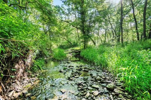 Listing Photo MLS #HMS2568750