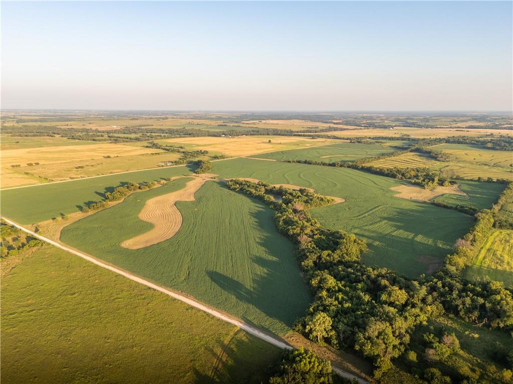 Listing Photo MLS #HMS2568821