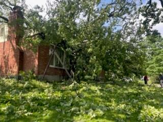 Listing Photo MLS #HMS2568889