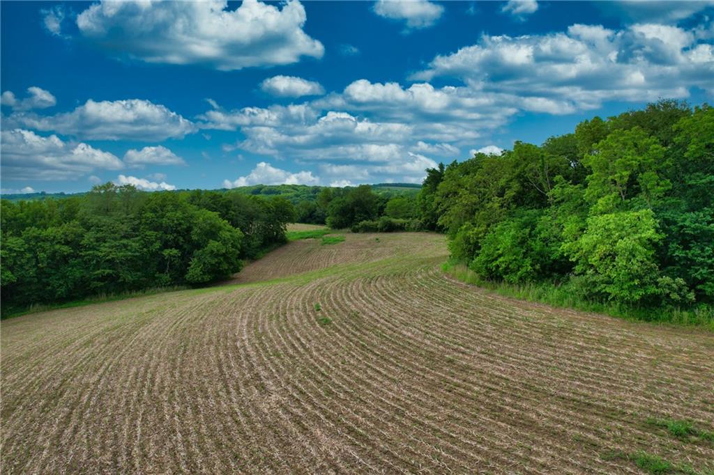 Listing Photo MLS #HMS2568985
