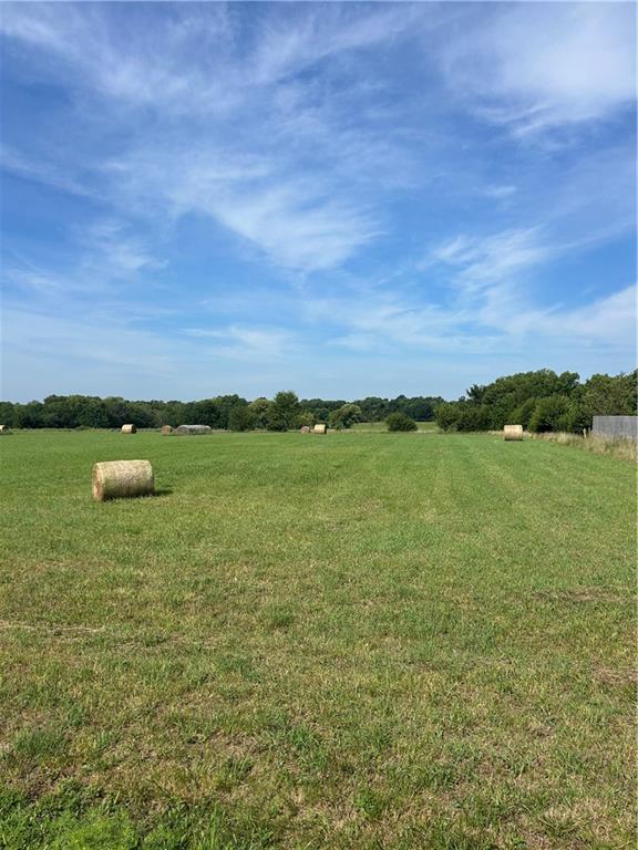 Listing Photo MLS #HMS2569065