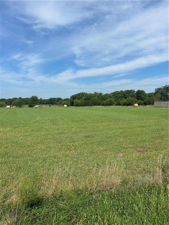 Listing Photo MLS #HMS2569070