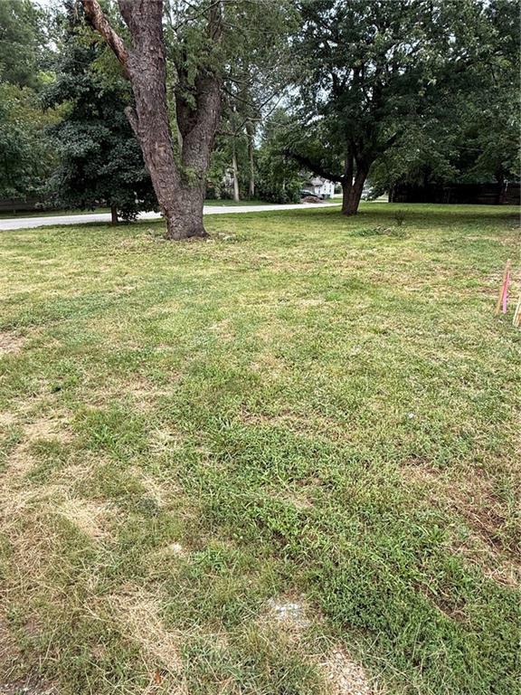 Listing Photo MLS #HMS2569074