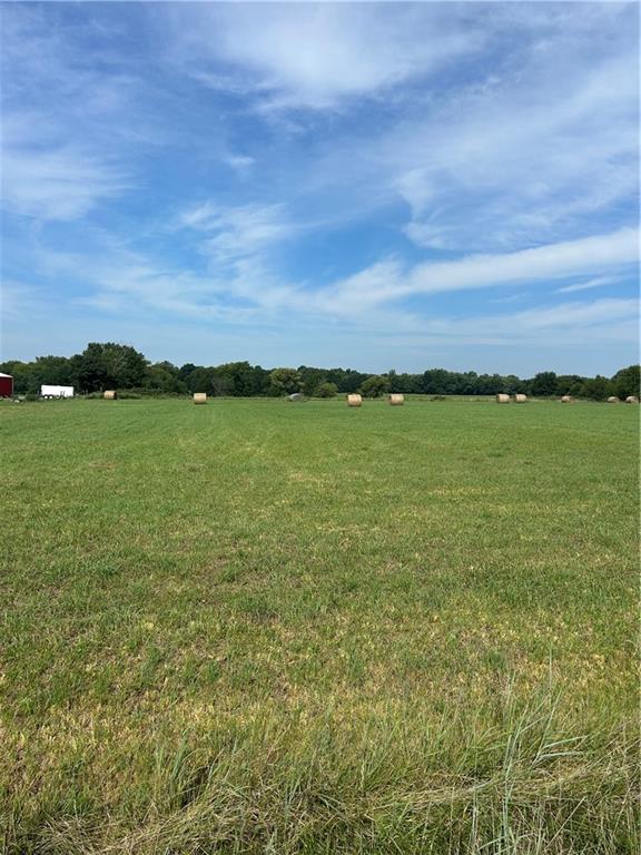 Listing Photo MLS #HMS2569076