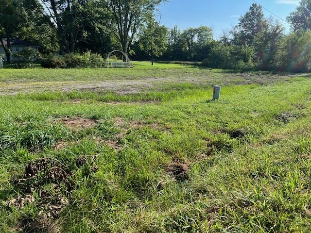 Listing Photo MLS #HMS2569129