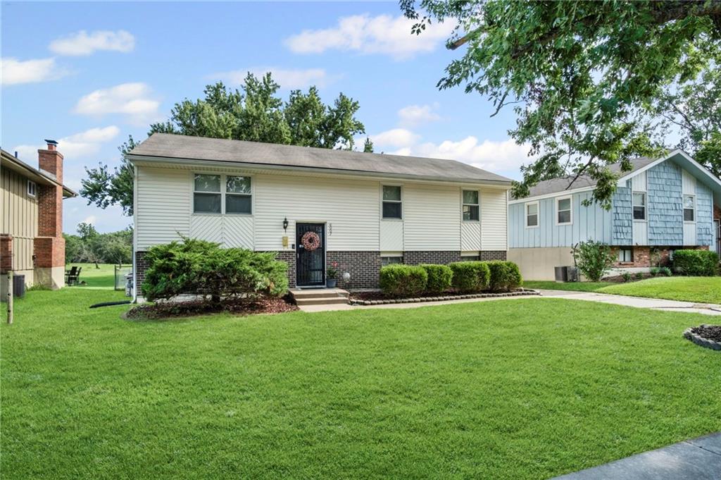 Listing Photo MLS #HMS2569144
