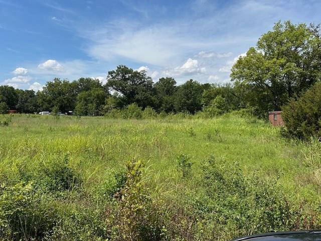 Listing Photo MLS #HMS2569183