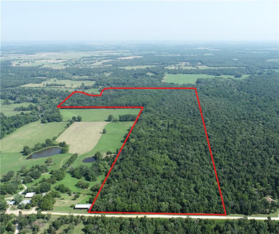 Listing Photo MLS #HMS2569202