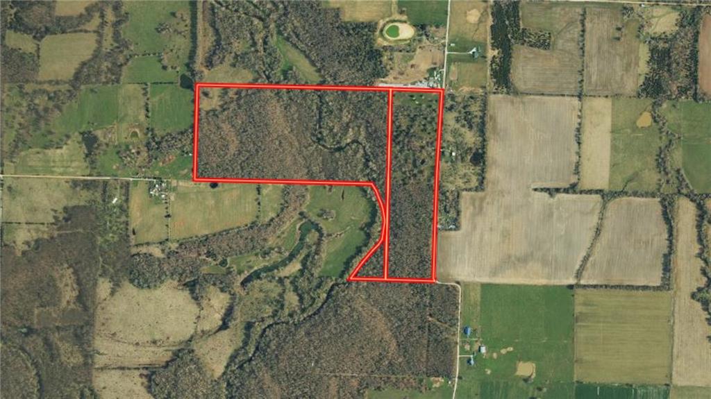Listing Photo MLS #HMS2569331