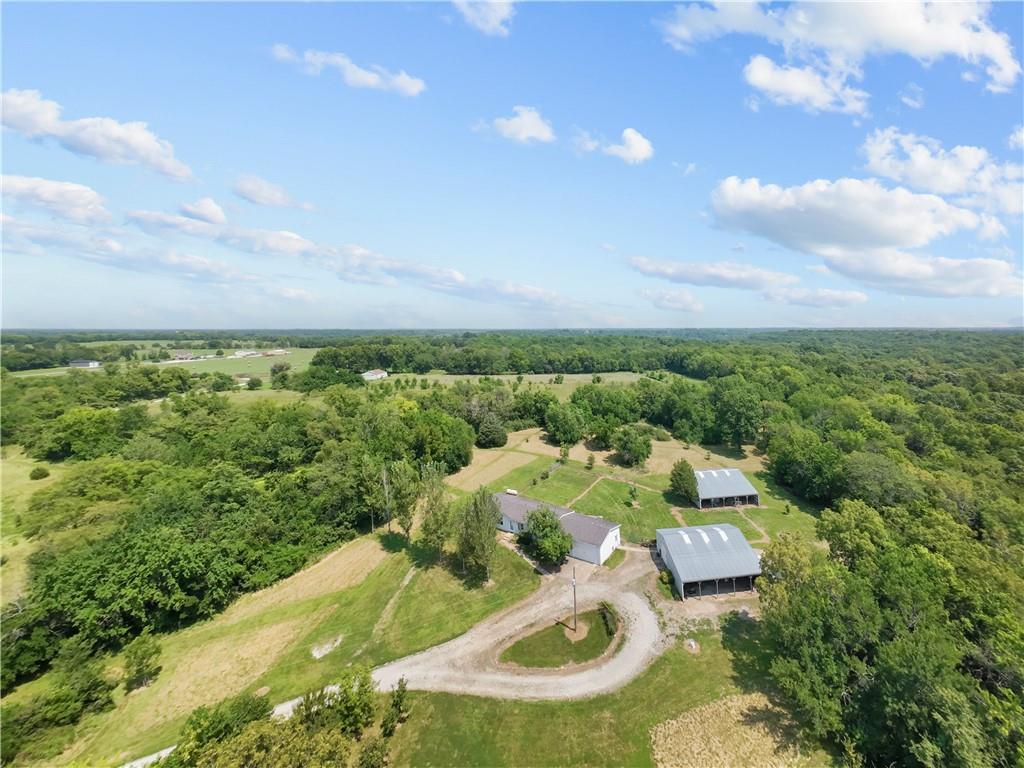 Listing Photo MLS #HMS2569358
