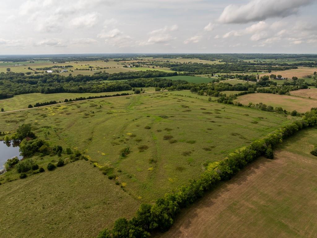 Listing Photo MLS #HMS2569389