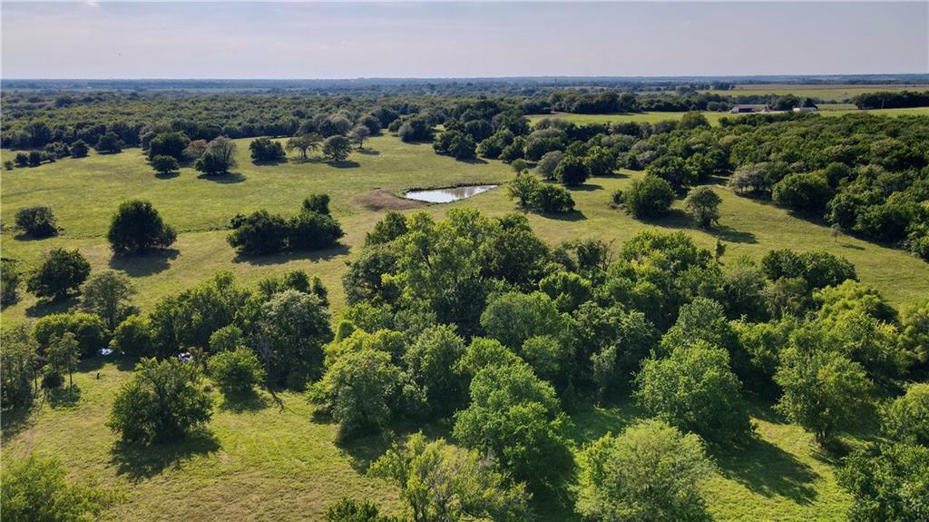 Listing Photo MLS #HMS2569479