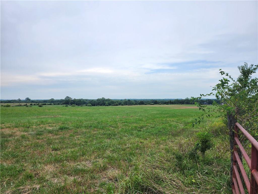 Listing Photo MLS #HMS2569612