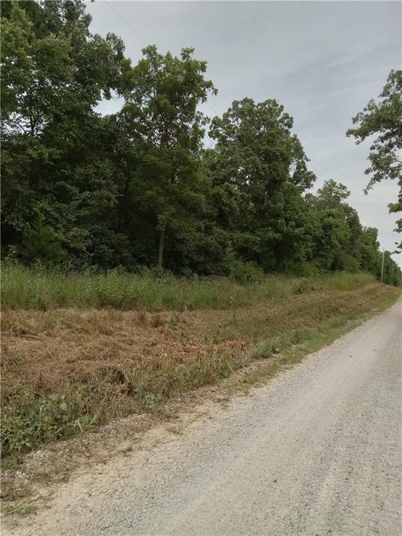 Listing Photo MLS #HMS2569669