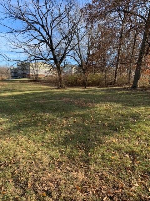 Listing Photo MLS #HMS2569717