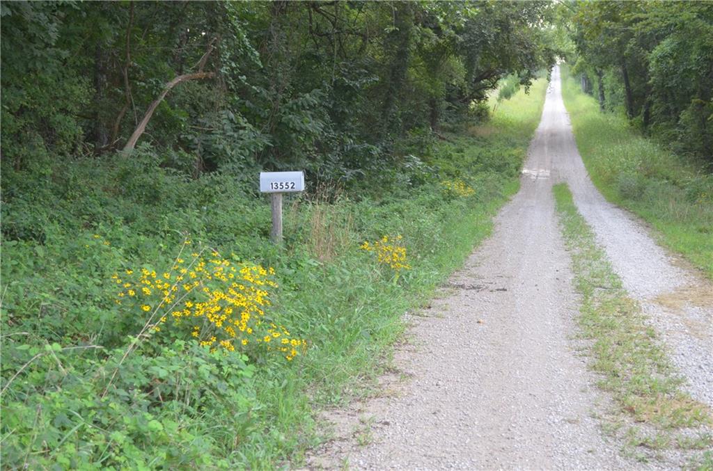 Listing Photo MLS #HMS2569722