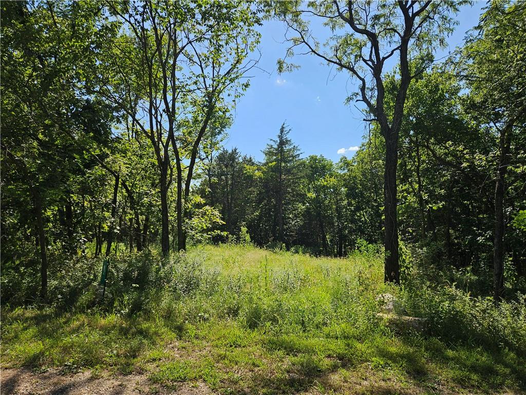 Listing Photo MLS #HMS2569758