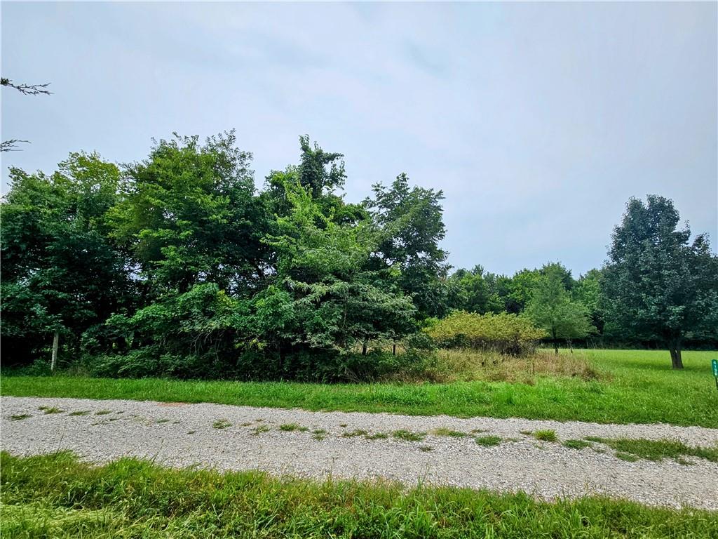 Listing Photo MLS #HMS2570211