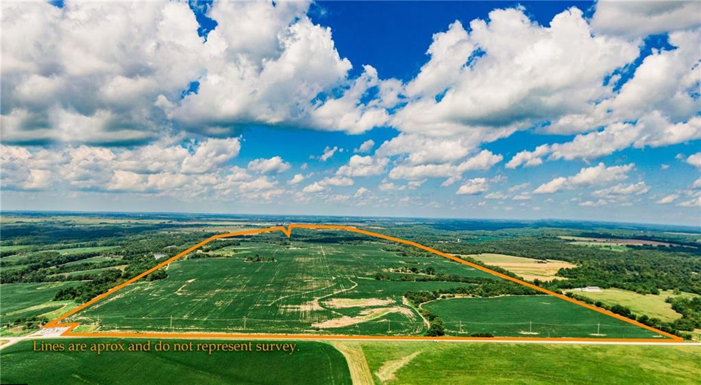 Listing Photo MLS #HMS2571650