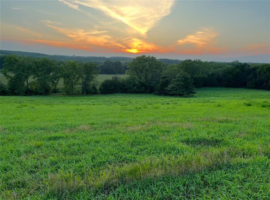 Listing Photo MLS #HMS2571663