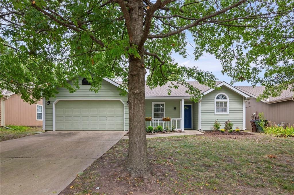 Listing Photo MLS #HMS2571837