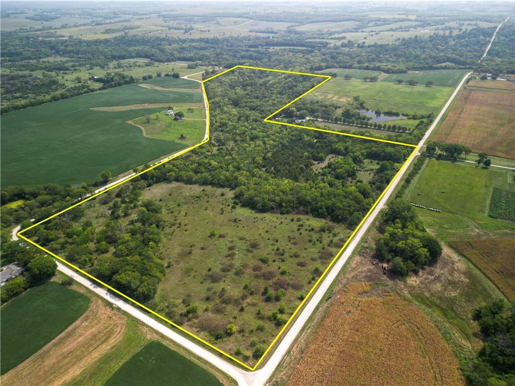 Listing Photo MLS #HMS2572578