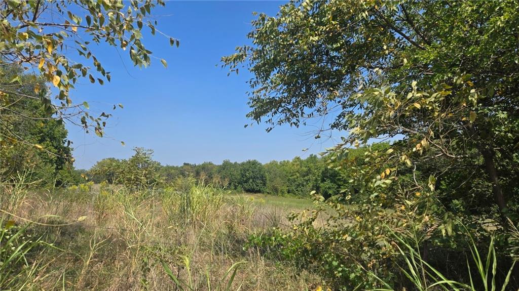 Listing Photo MLS #HMS2573818