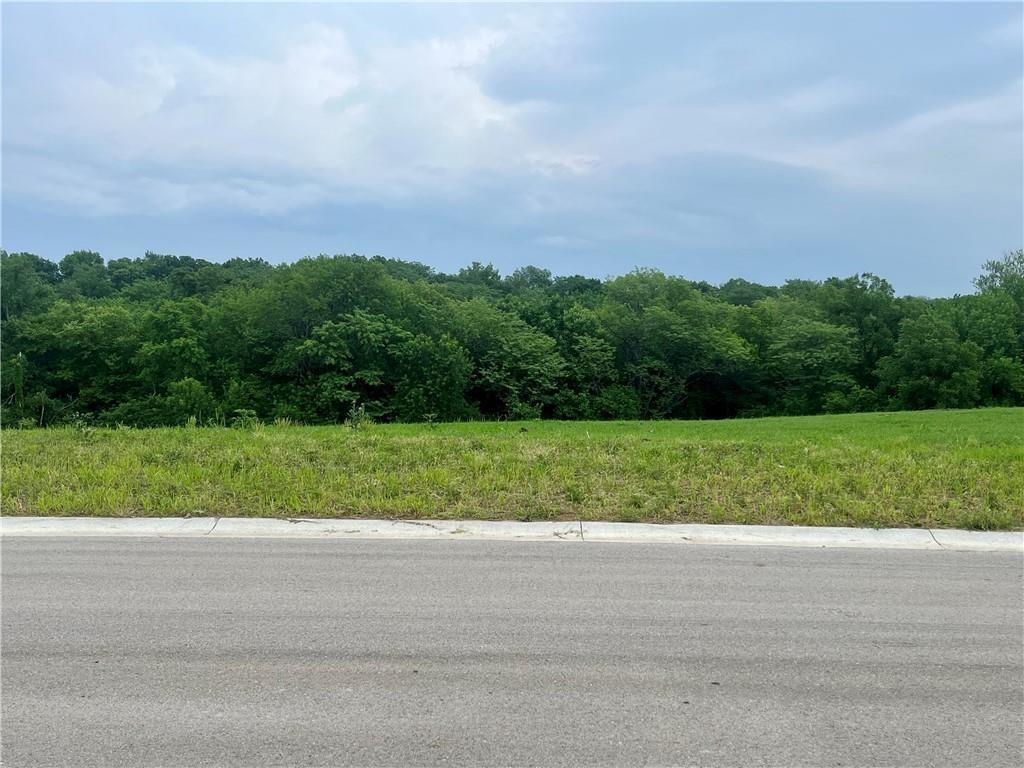 Listing Photo MLS #HMS2574379