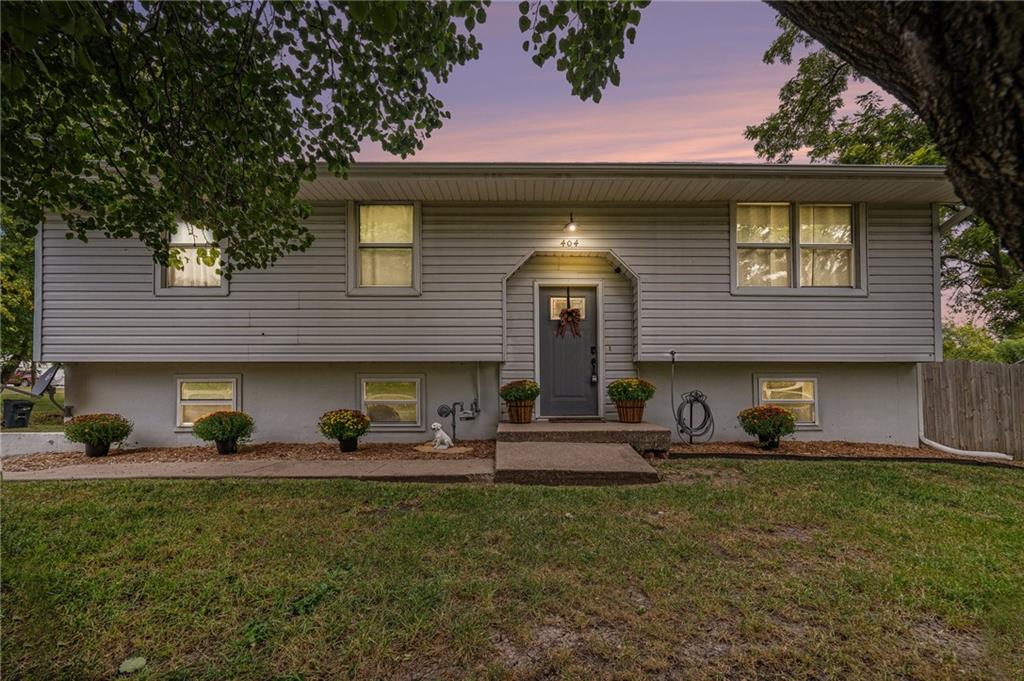 Listing Photo MLS #HMS2574632