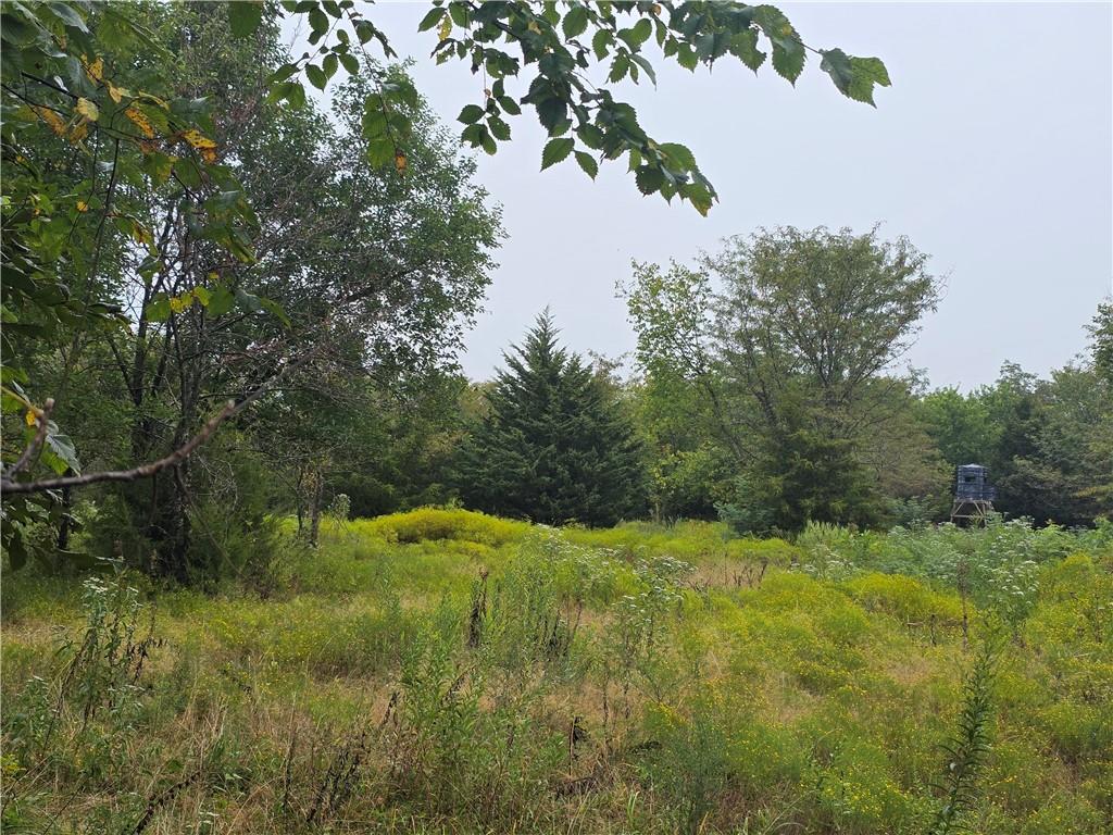 Listing Photo MLS #HMS2574809